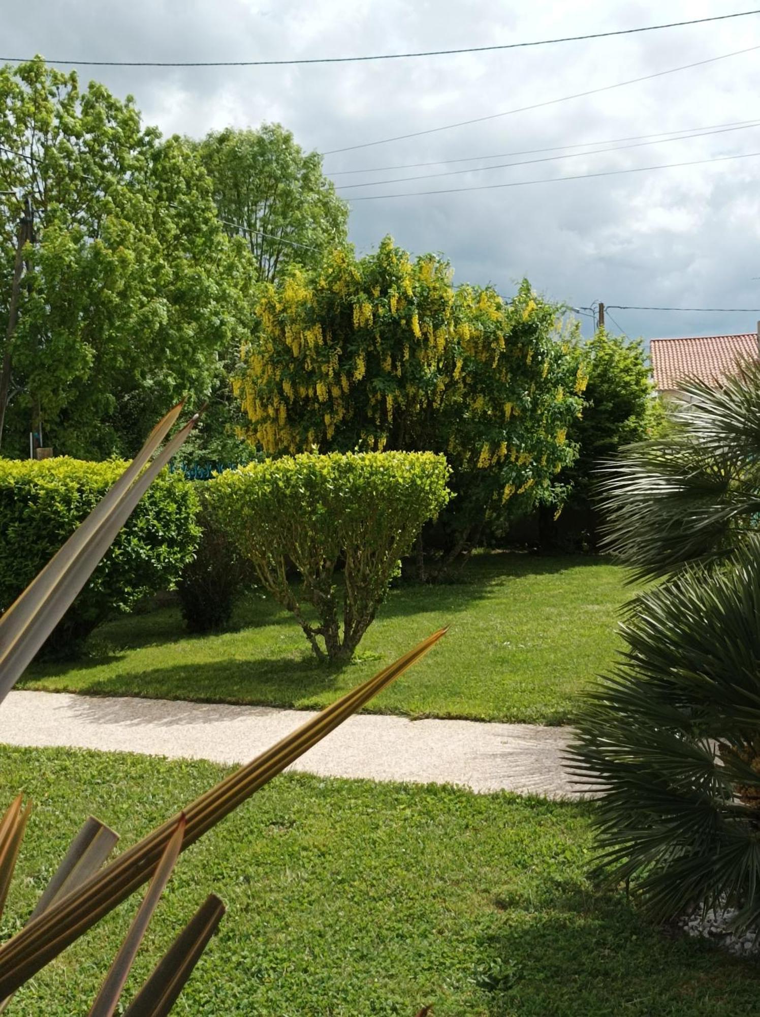Logis De Lange Studio 2 P Saint-Hilaire-la-Palud Exterior foto